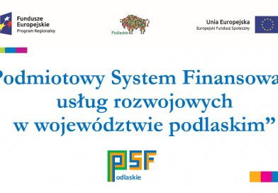 <strong>Nabór Nr PSFWP 2/2022 na dofinansowanie usług rozwojowych</strong>