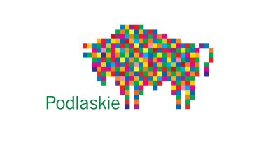 Budowa boiska wielofunkcyjnego w Radziłowie – przebudowa i odnowa przestrzeni