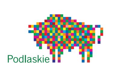 Budowa boiska wielofunkcyjnego w Radziłowie – przebudowa i odnowa przestrzeni