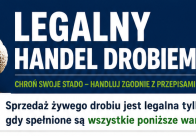 Sprzedaż żywego drobiu – zasady